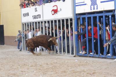 Seis cornadas en la primera cogida de las fiestas de Almassora