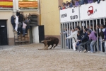 Fotografia /Gallery/9927_5515/5_M1.jpg