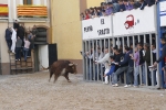 Fotografia /Gallery/9927_5515/6_M1.jpg