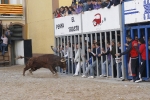 Fotografia /Gallery/9927_5515/7_M1.jpg