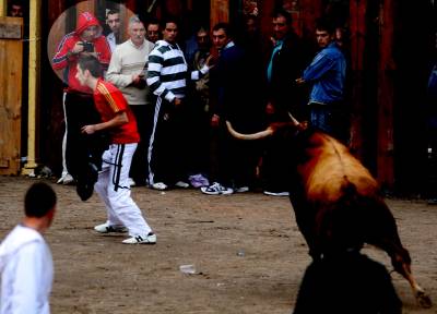 Fotografia /Gallery/9969_5469/2_M1.jpg