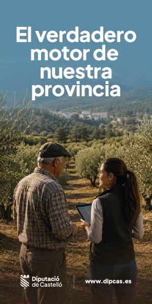https://www.dipcas.es/es/