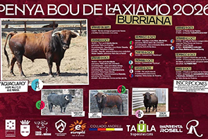 http://burriana.es